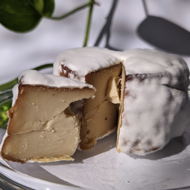 Queijo de Castanhas de Caju maturado com penicílium do brie